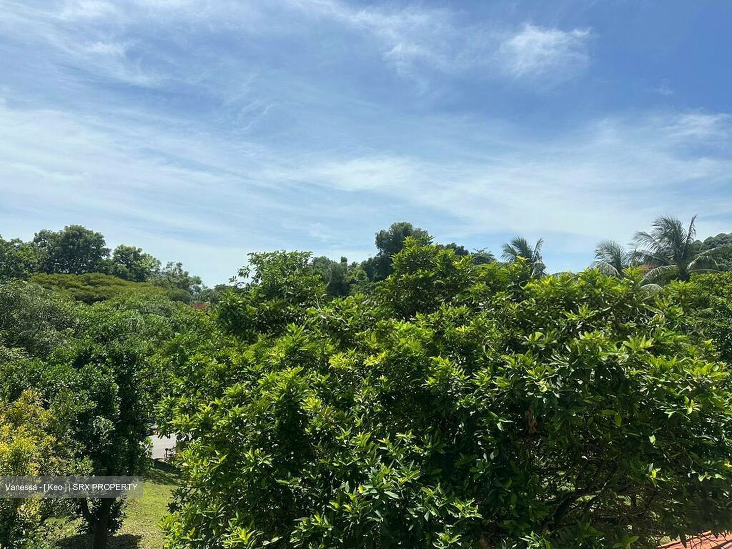 Blk 101 Bukit Purmei Road (Bukit Merah), HDB 4 Rooms #501675581